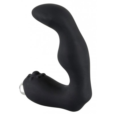 prostata