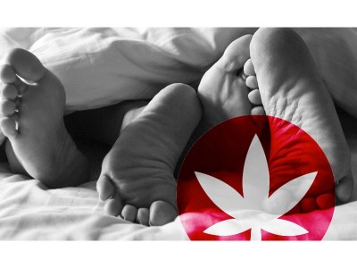 Cannabis - Olio CBD per il sesso